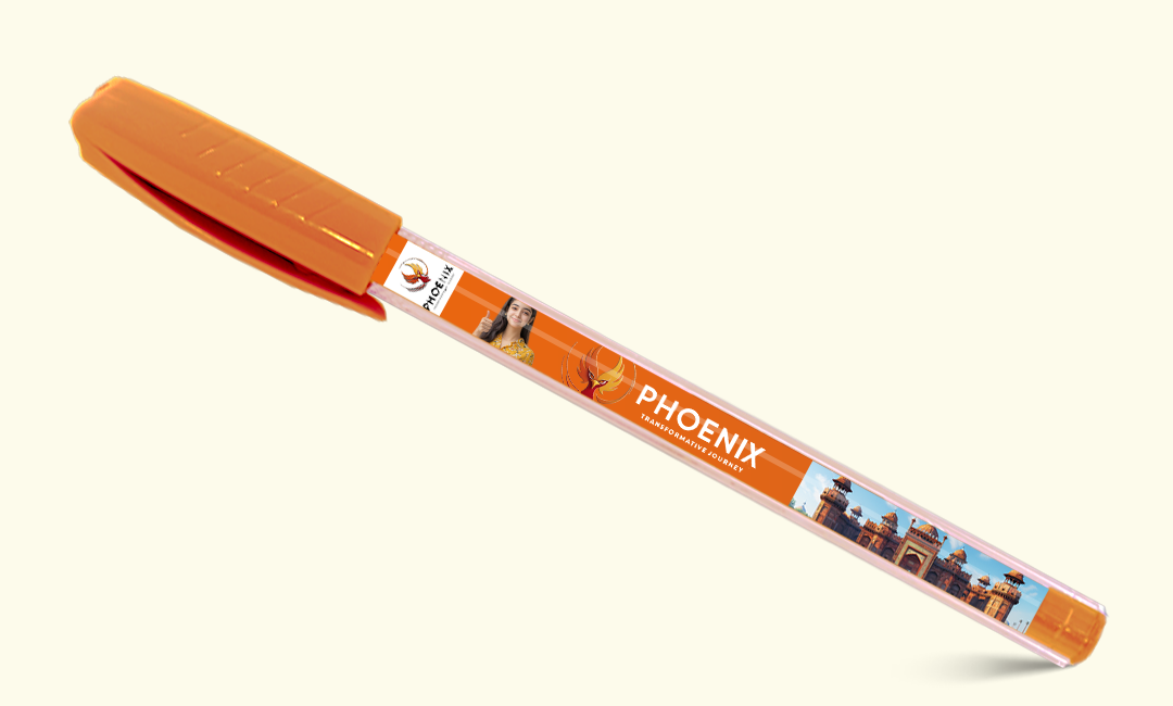 MaxView N-JOY pen